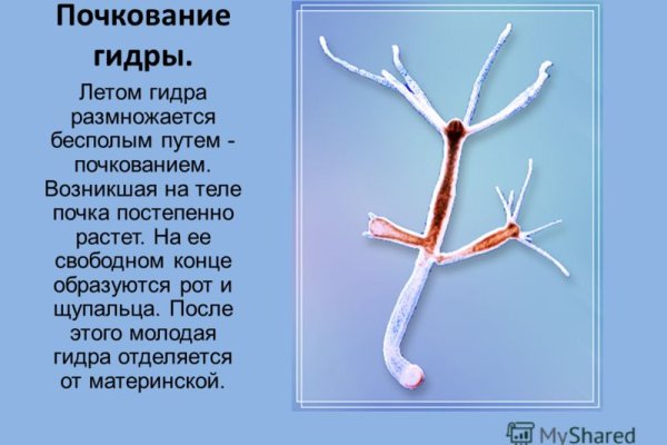 Зеркала кракен kraken014 com kraken014 com