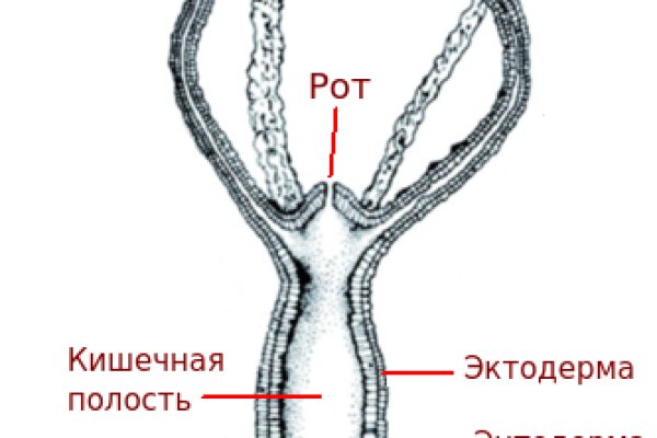 Кракен сыл ссылка