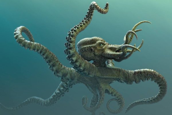 Kraken 18 at